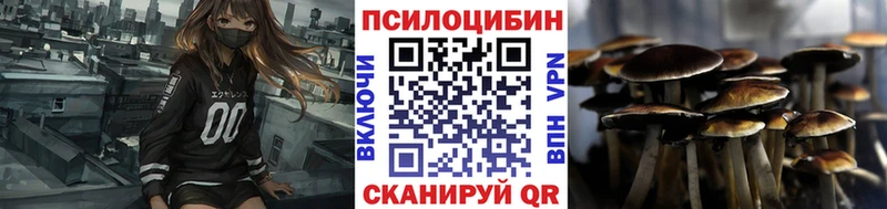 Галлюциногенные грибы Cubensis  Буйнакск 